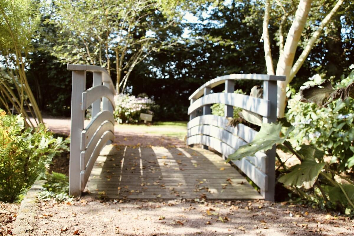Brücke Brücke